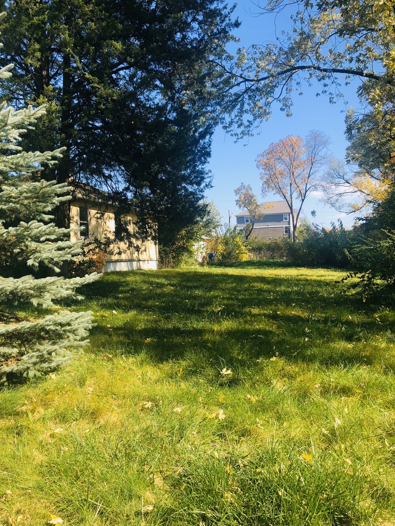 5S365 Vest Avenue Naperville, IL 60563 - Photo 1 of 7 a view of a grassy field with an trees