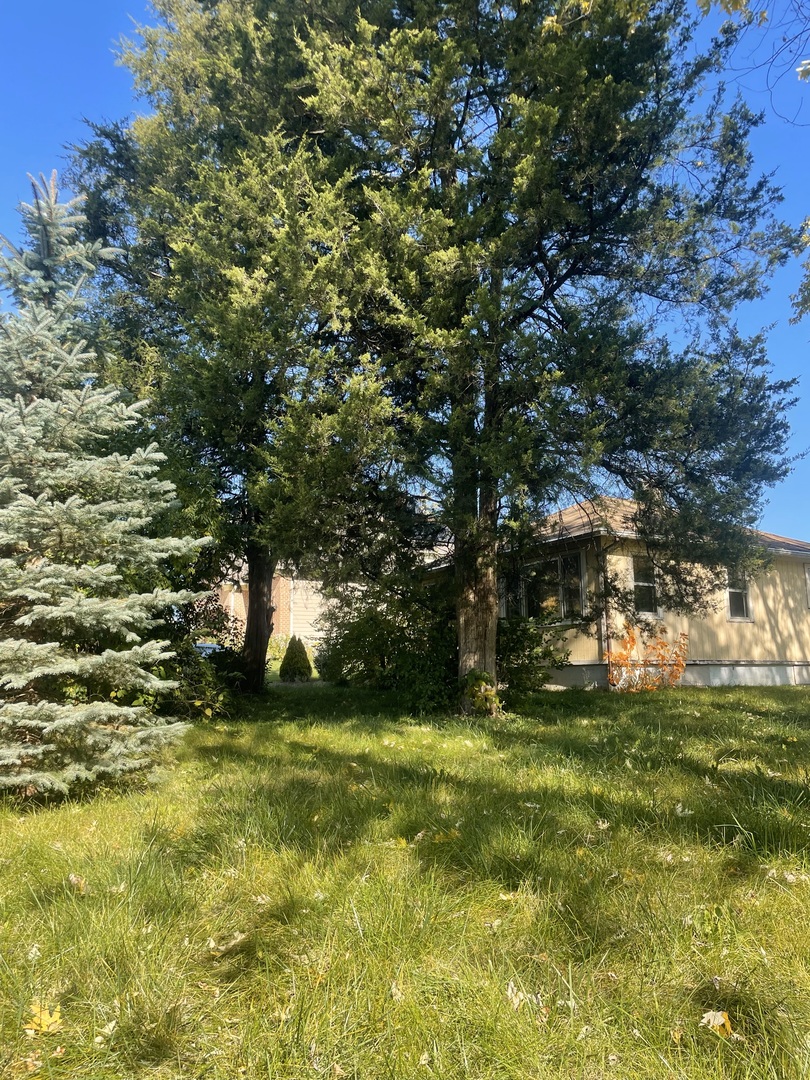 5S365 Vest Avenue Naperville, IL 60563 - Photo 6 of 7 a view of yard with green space