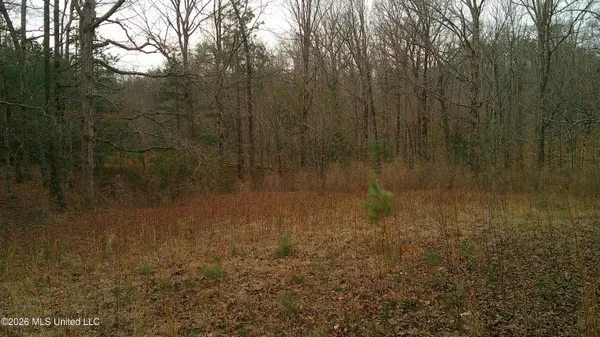 $150,000 | 6259 Highway 5, Hickory Flat, MS 38633