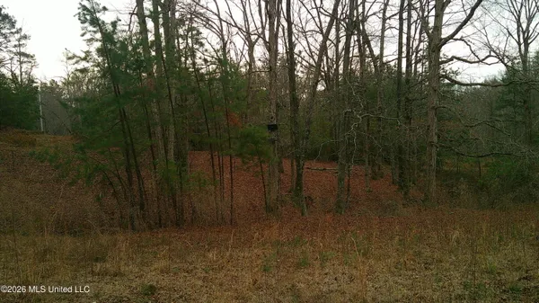 $150,000 | 6259 Highway 5, Hickory Flat, MS 38633