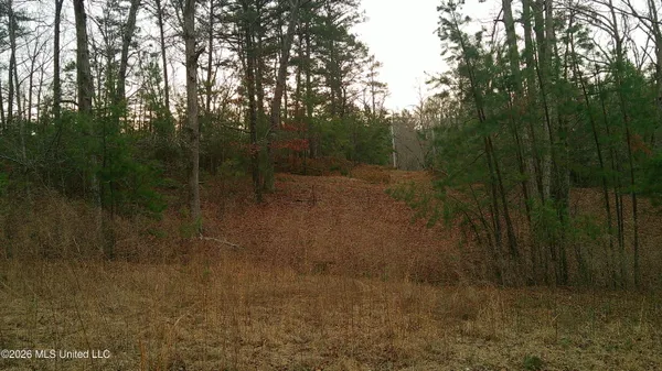 $150,000 | 6259 Highway 5, Hickory Flat, MS 38633