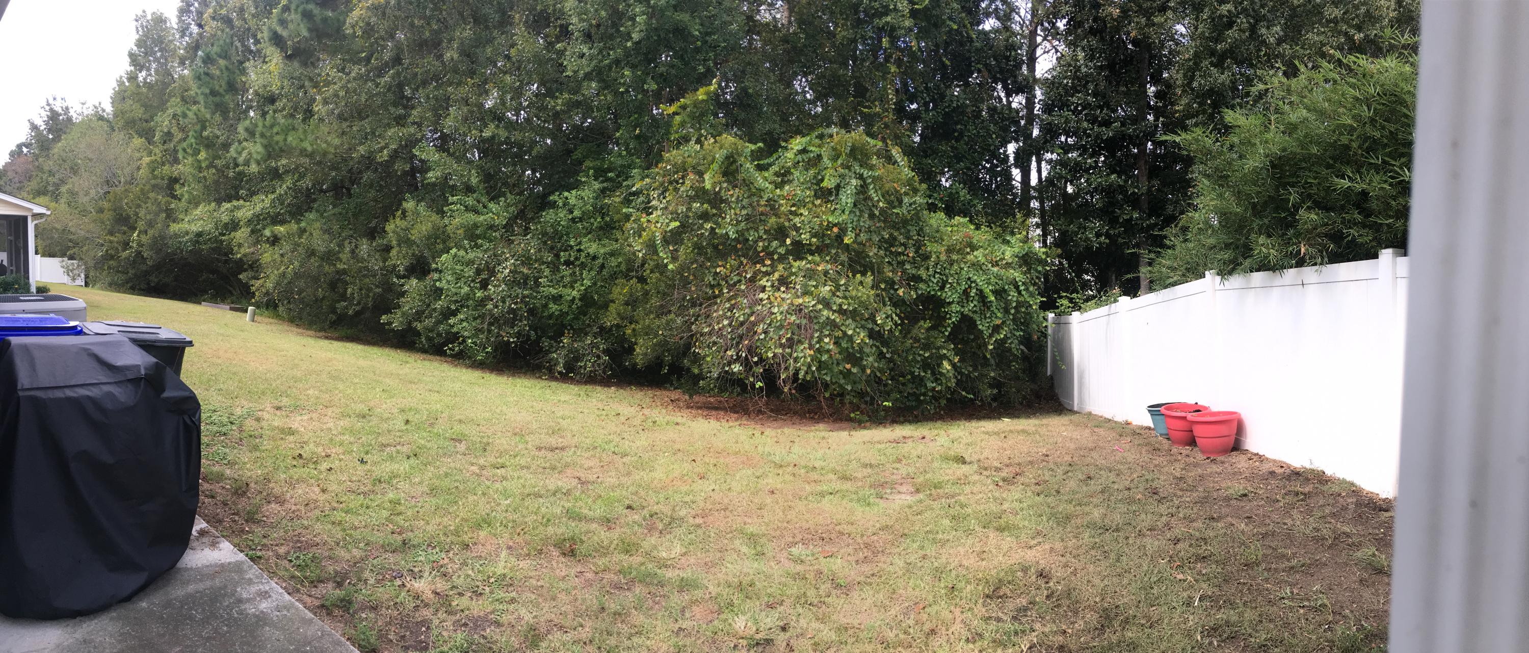 1296 Fenwick Plantation Road Johns Island, SC 29455 - Photo 19 of 24 Backyard