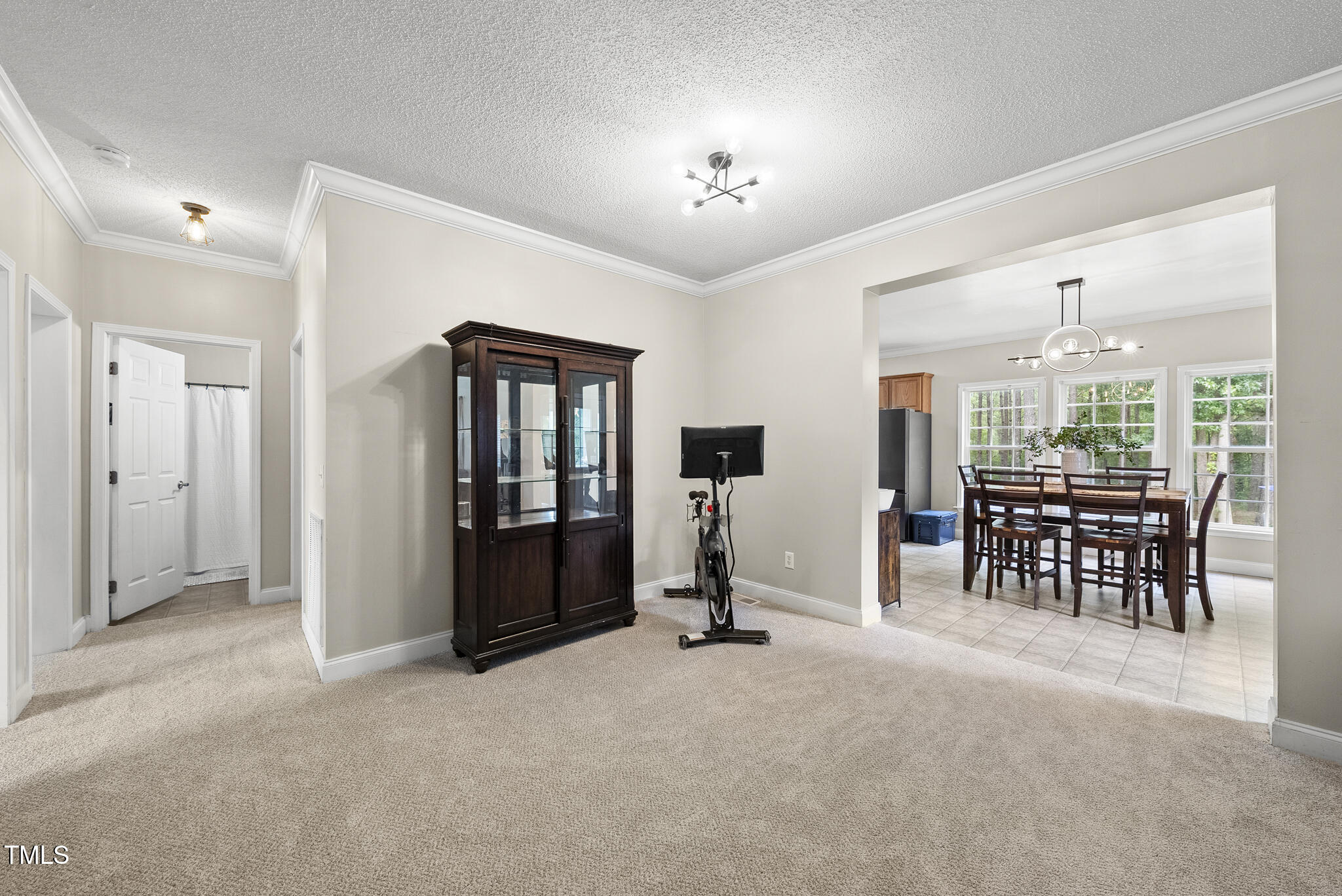204 W Road Angier, NC 27501 - Photo 11 of 45 a view of a livingroom with furniture and chandelier