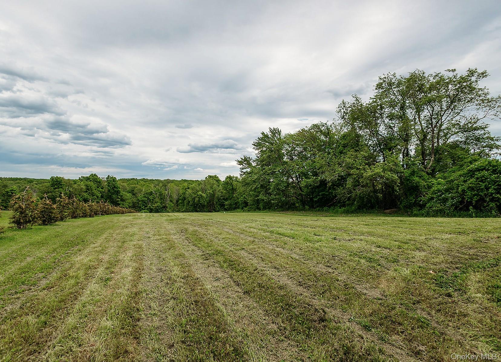 168 Pine Grove Road Middletown, NY 10940 - Photo 8 of 43