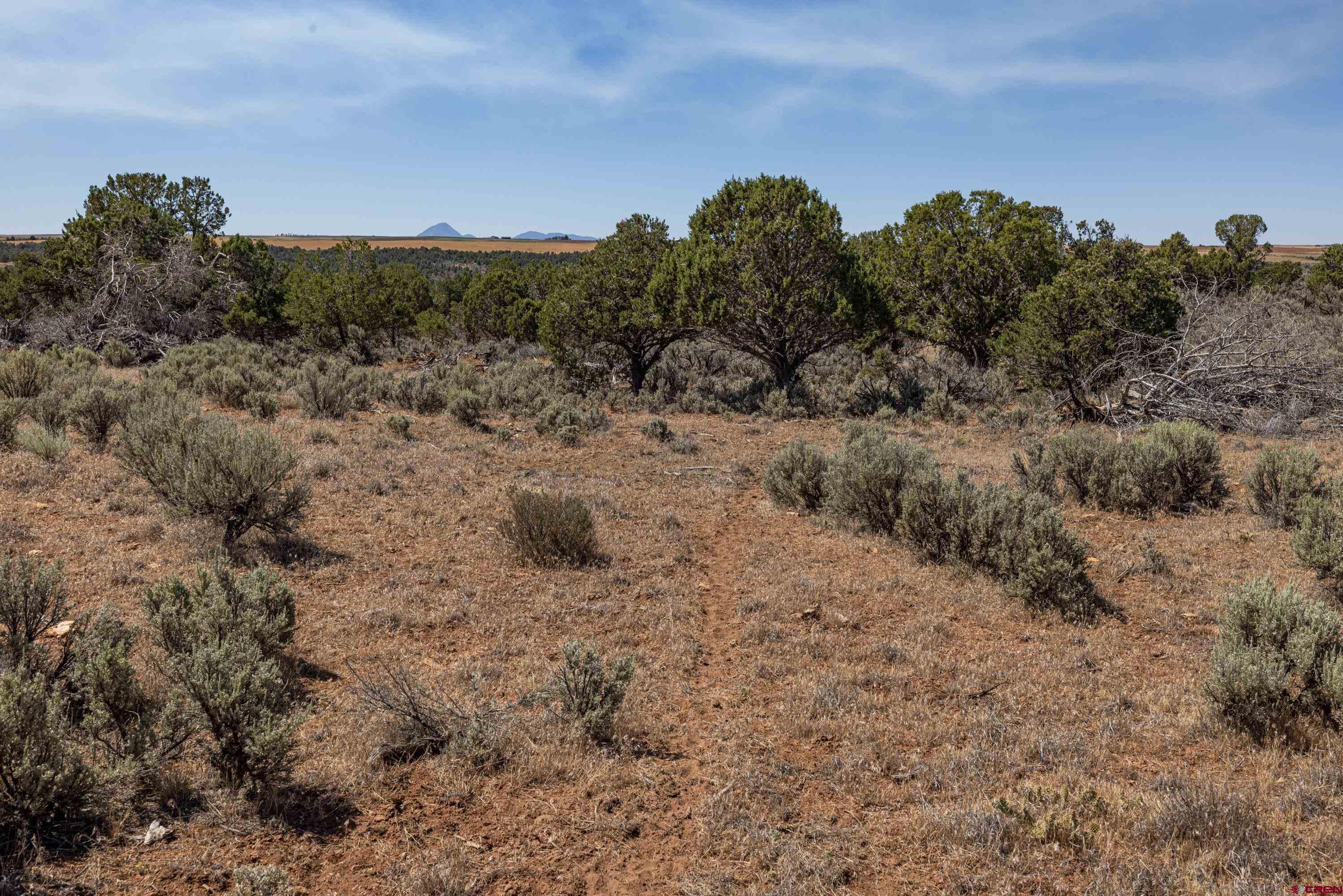 Tbd Tbd Road Pleasant View, CO 81331 - Photo 13 of 17