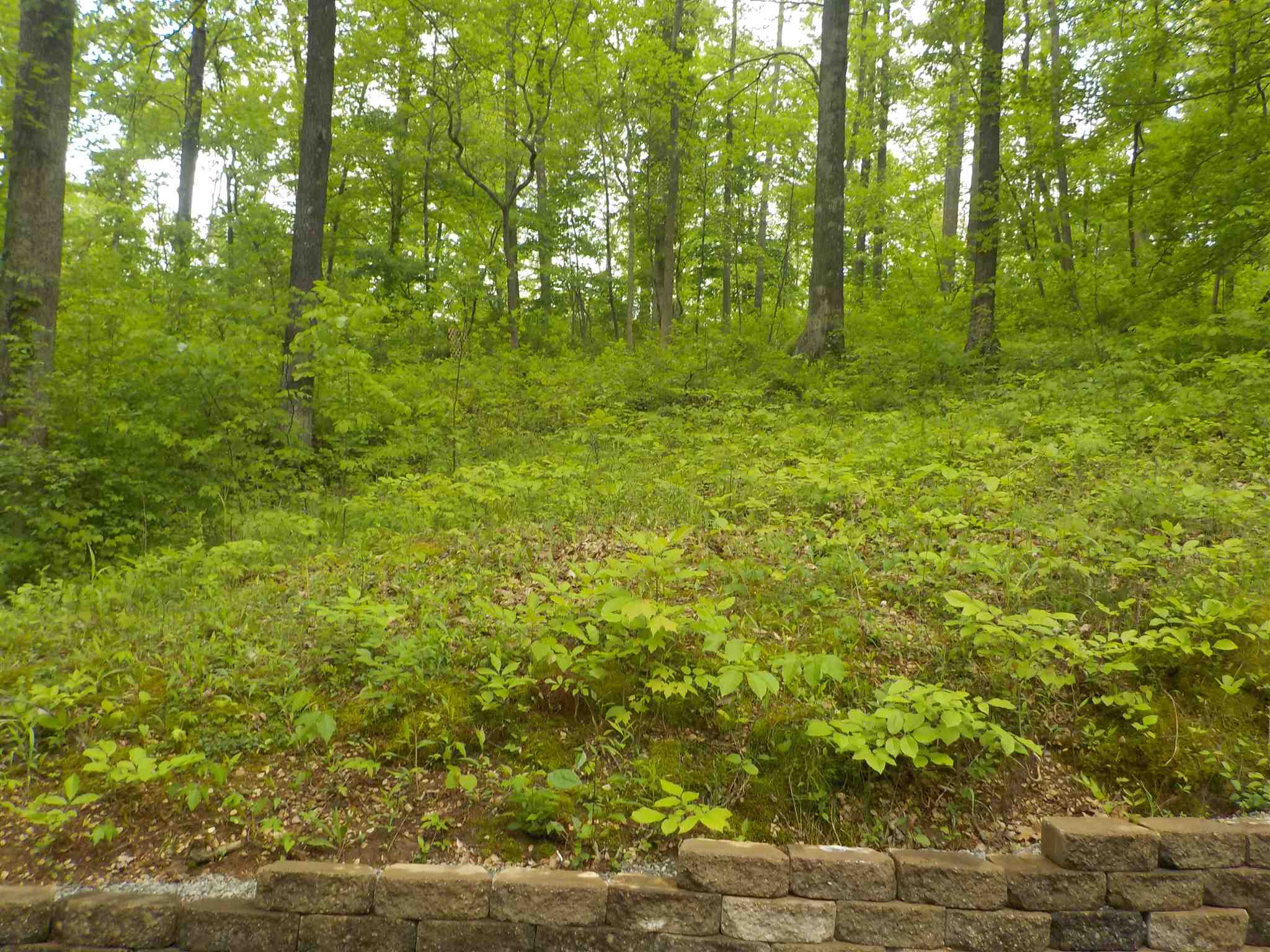 321 Kentucky Hollow Road Bedford, IN 47421 - Photo 24 of 30 Gallery Image 24