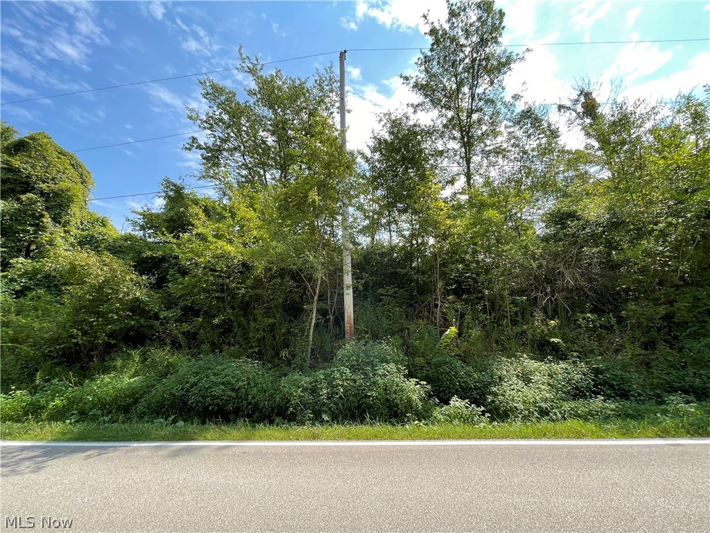 V/l Beach Road Wadsworth, OH 44281 - Photo 3 of 11