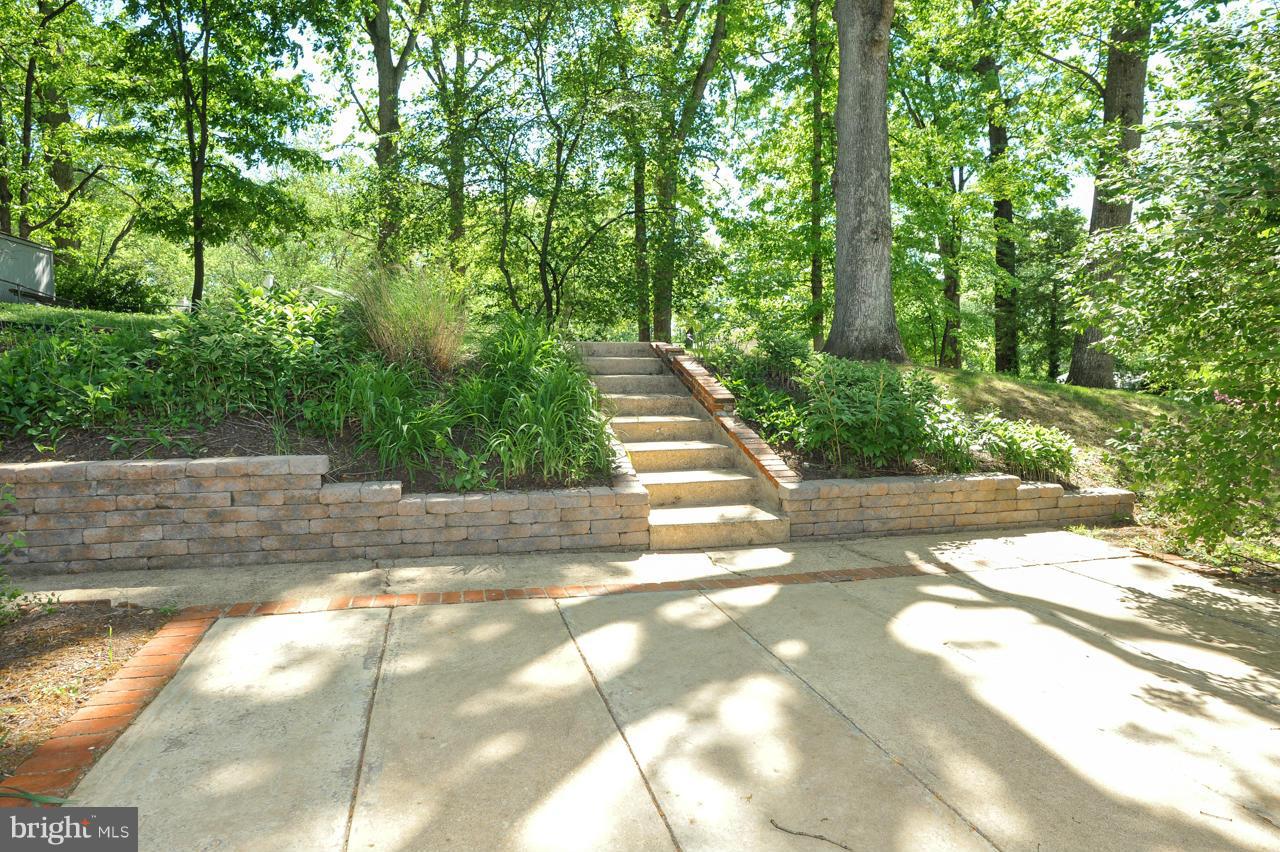 7423 Grace Street Springfield, VA 22150 - Photo 12 of 13 Backyard