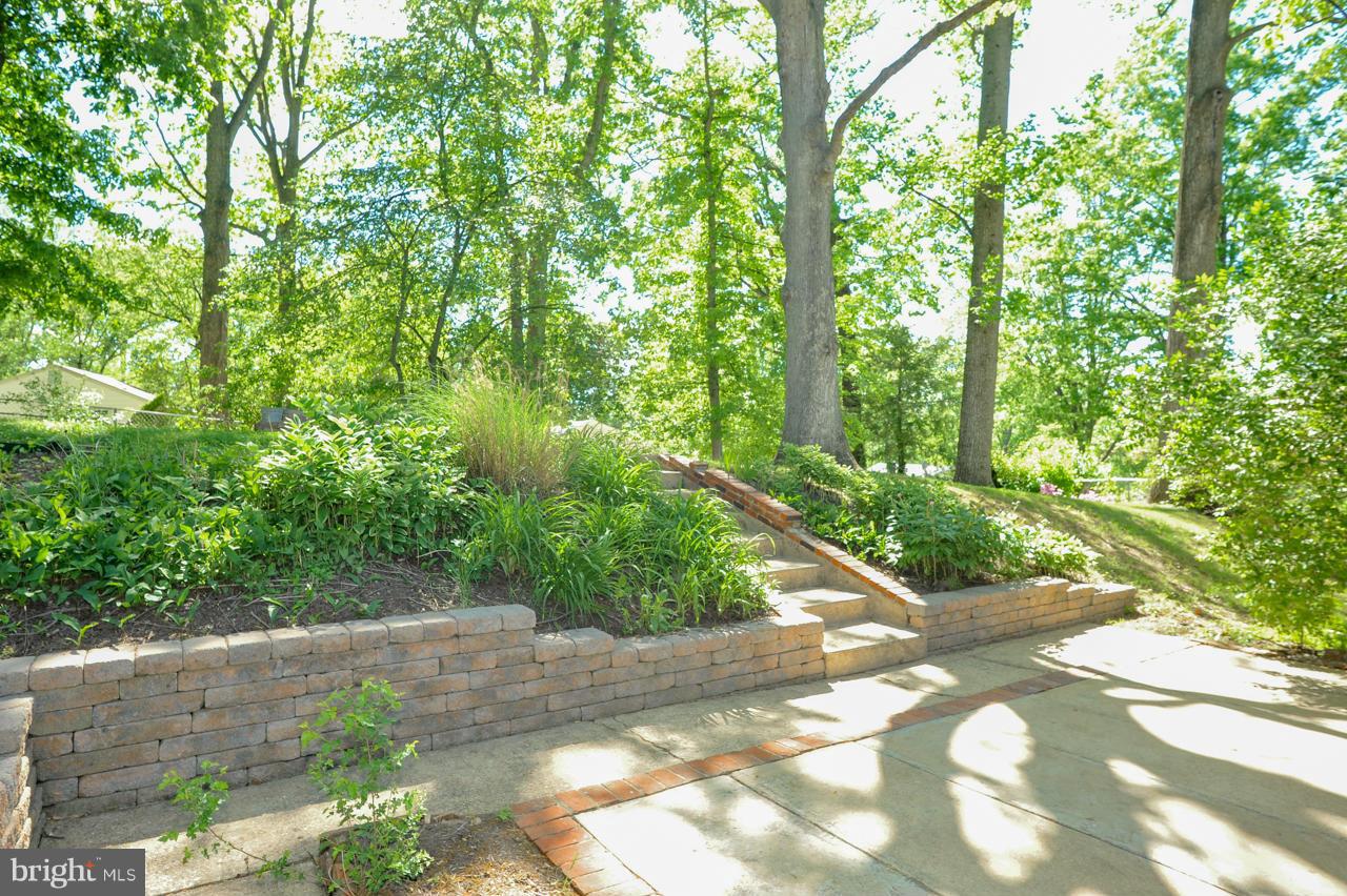 7423 Grace Street Springfield, VA 22150 - Photo 13 of 13 Backyard