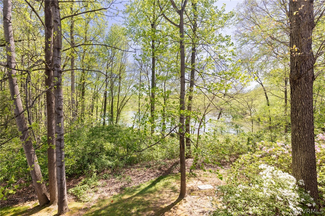 1777 Raintree Commons Drive Henrico, VA 23238 - Photo 22 of 24 Gallery Image 22