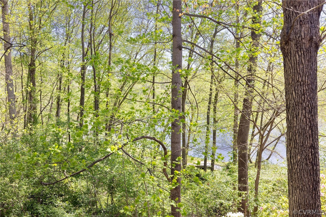 1777 Raintree Commons Drive Henrico, VA 23238 - Photo 23 of 24 Gallery Image 23