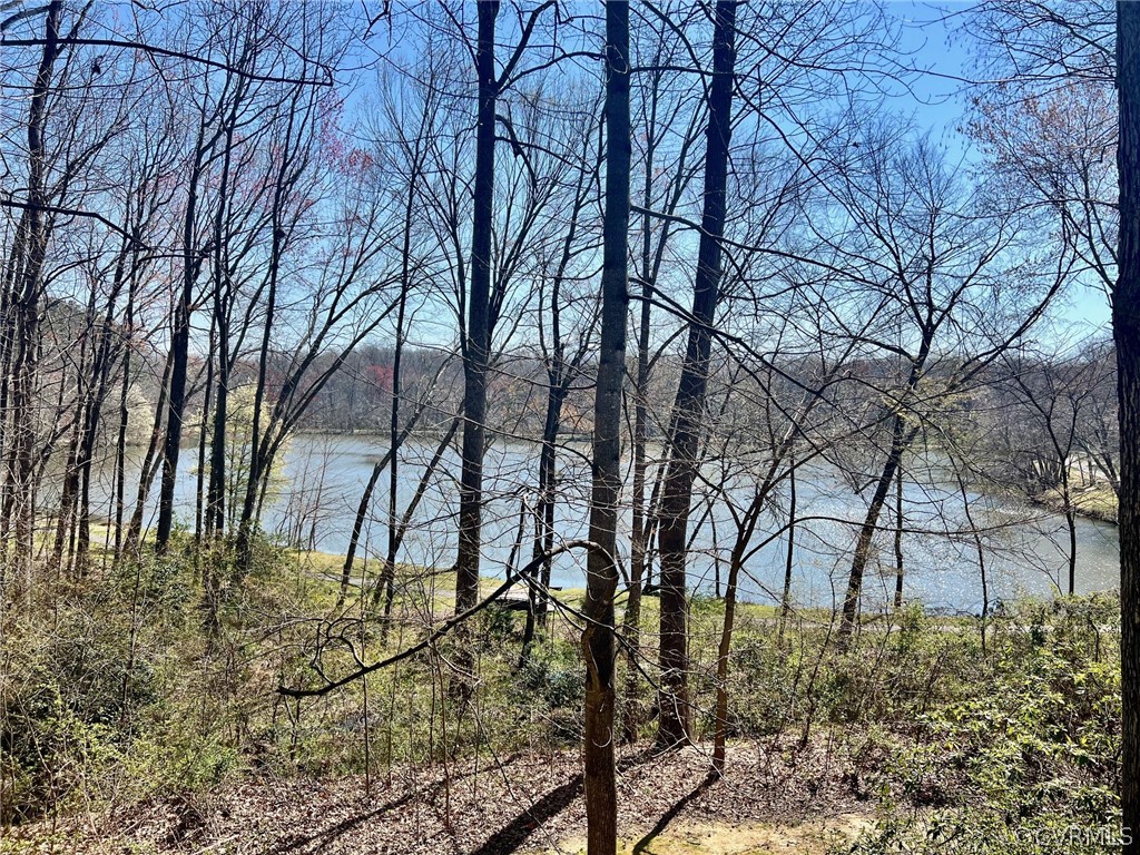 1777 Raintree Commons Drive Henrico, VA 23238 - Photo 24 of 24 View of Pond from Deck in the Winter