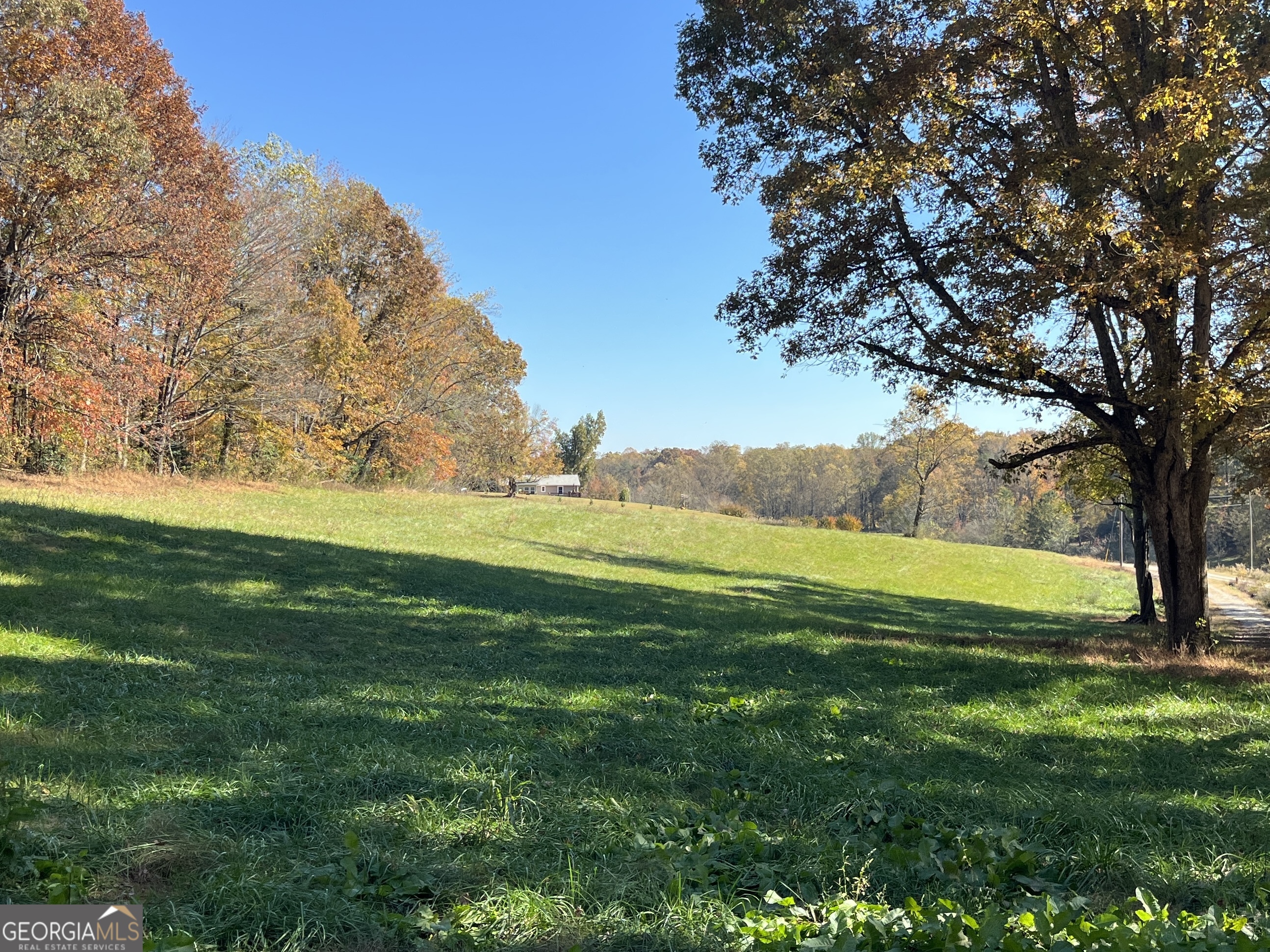 0 Freeman View Trail, Unit LOT 4 Cleveland, GA 30528 - Photo 15 of 20