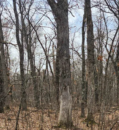 $26,000 | 1553 Kingswood Trail, Nekoosa, WI 54457