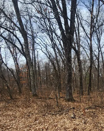 $26,000 | 1553 Kingswood Trail, Nekoosa, WI 54457