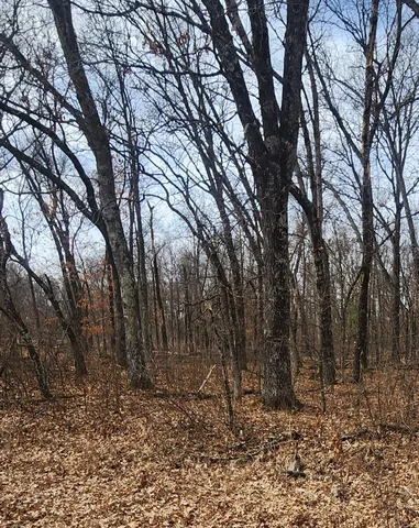 $26,000 | 1553 Kingswood Trail, Nekoosa, WI 54457