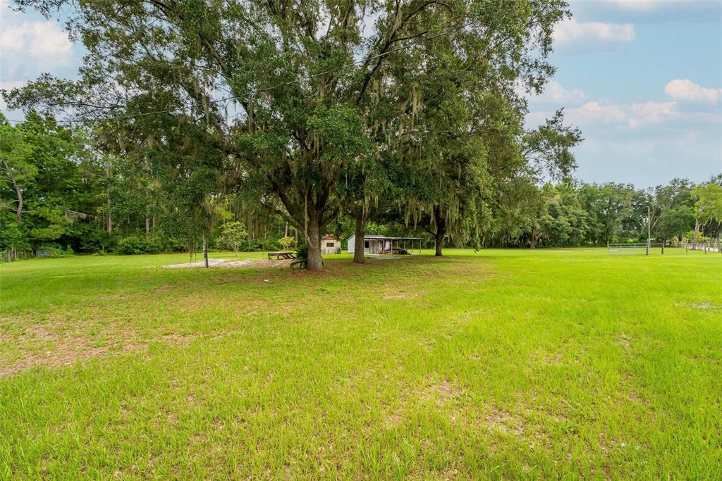 2901 Carter Jones Road Groveland, FL 34736 - Photo 14 of 18