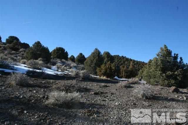 4720 Lost Burro Road, Unit 472 Reno, NV 89521 - Photo 1 of 1 a view of a dry yard with trees