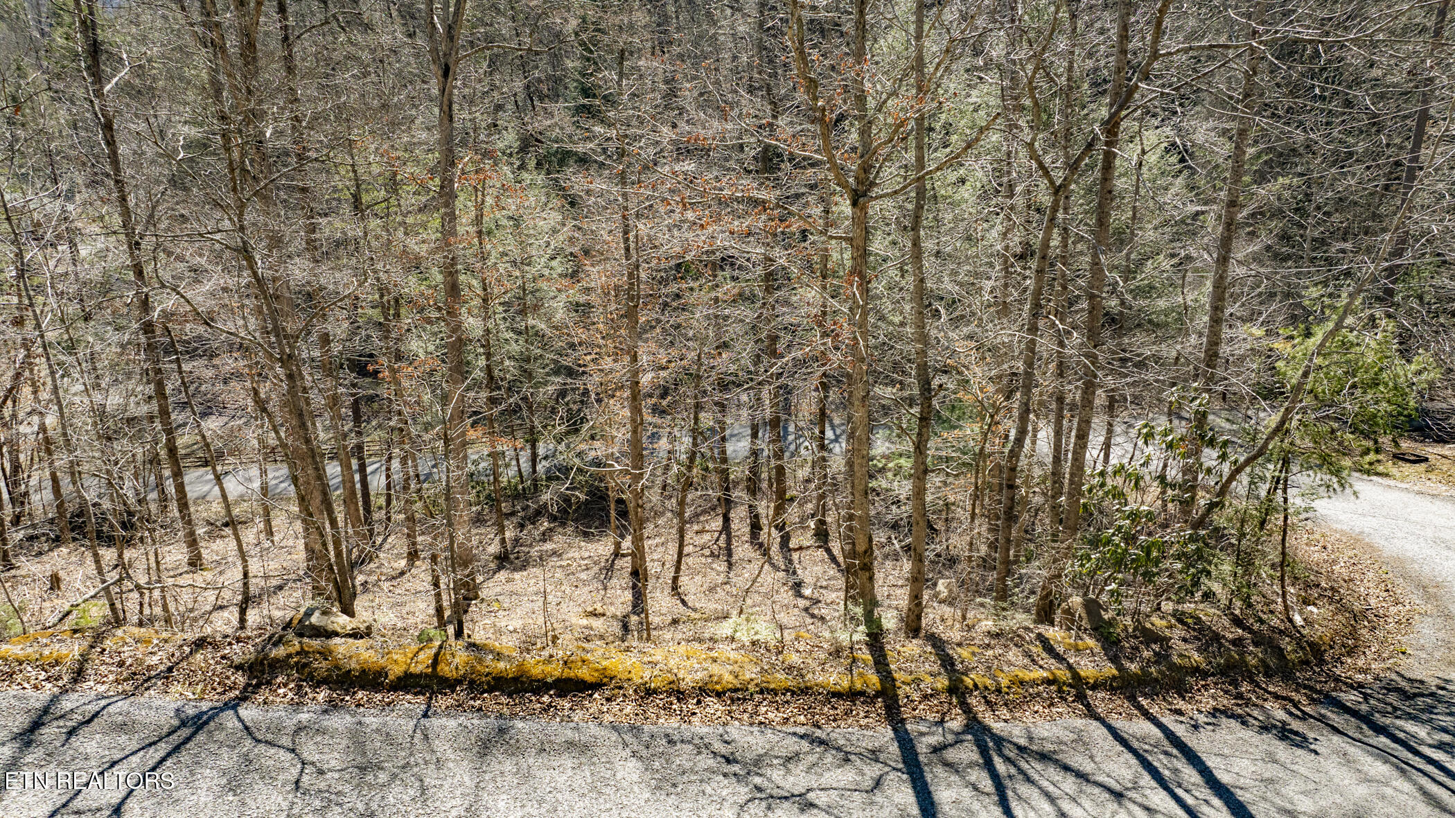 272 Cove Hollow Road Cosby, TN 37722 - Photo 6 of 17 COVE HOLLOW 4