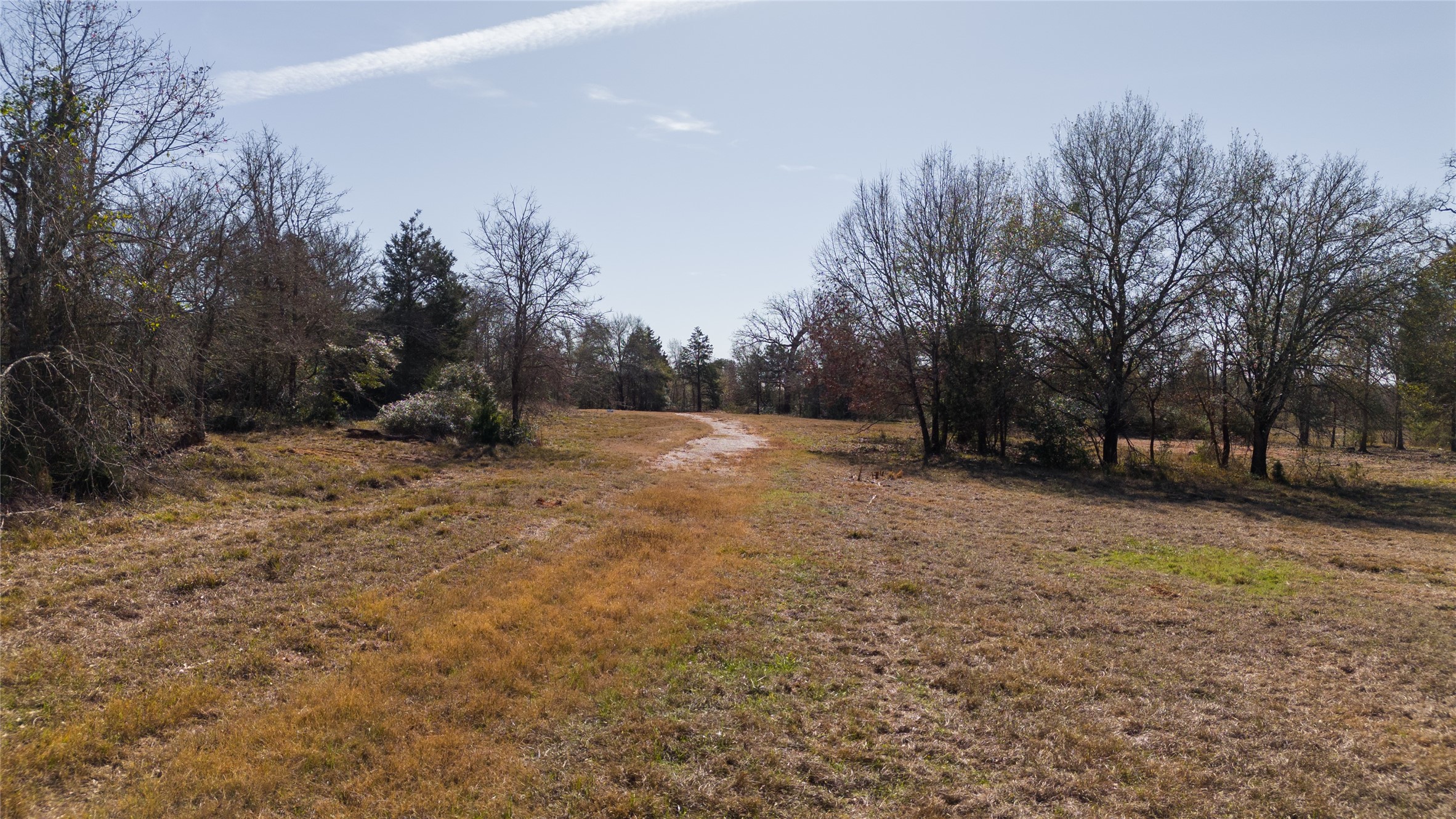 1 Wallace Road Midway, TX 75852 - Photo 10 of 10 a view of outdoor space with trees