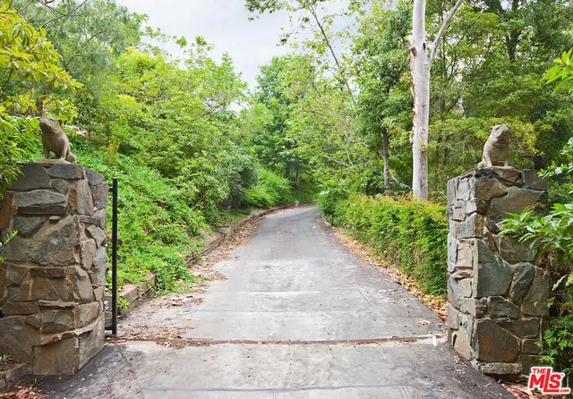 a view of a pathway with a tree