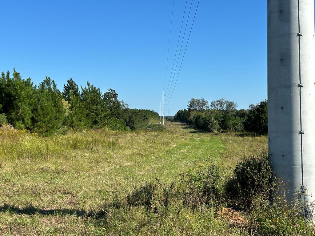 95 (columbia Rd) Road Abbeville, AL 36310 - Photo 13 of 41