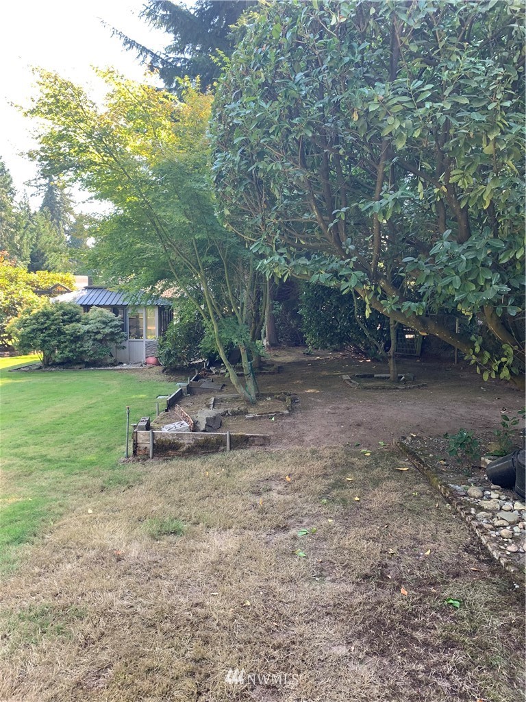 5615 227th Street Southeast Bothell, WA 98021 - Photo 6 of 30 a view of a backyard with large trees
