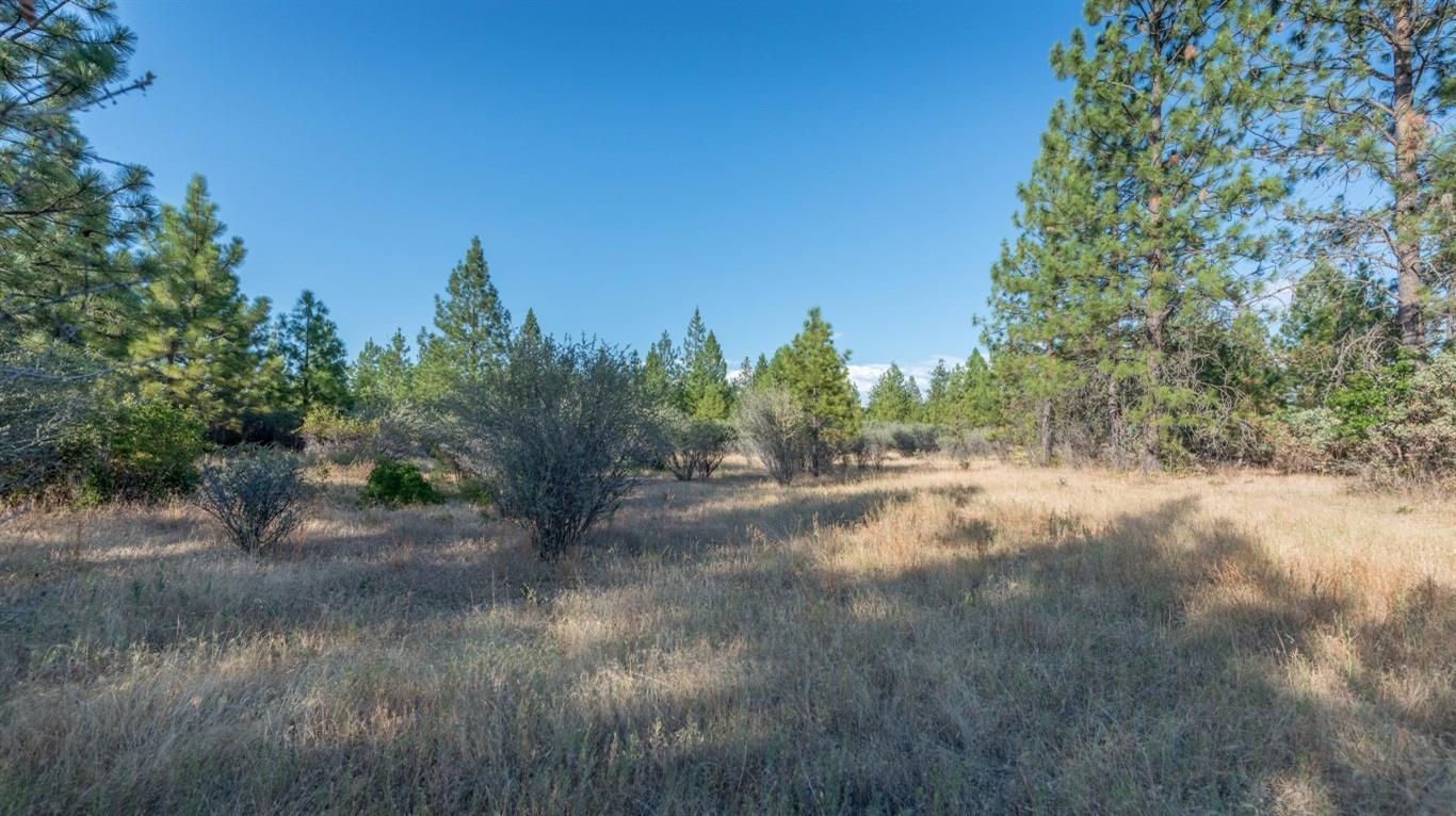 802 Beagle Road White City, OR 97503 - Photo 3 of 11 Additional Photo