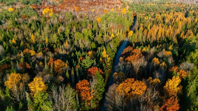 $316,000 | 38 Cross Road, Bath, NH 03740