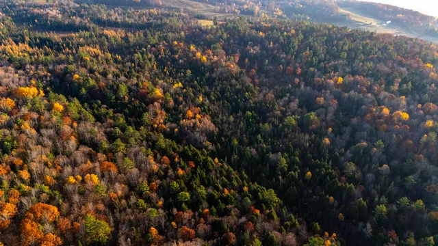 $316,000 | 38 Cross Road, Bath, NH 03740