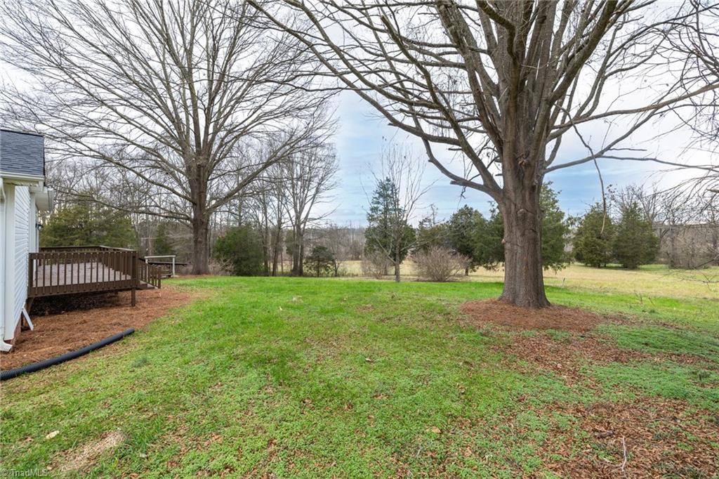 2526 Jr Order Home Road Lexington, NC 27292 - Photo 28 of 39 Gallery Image 28