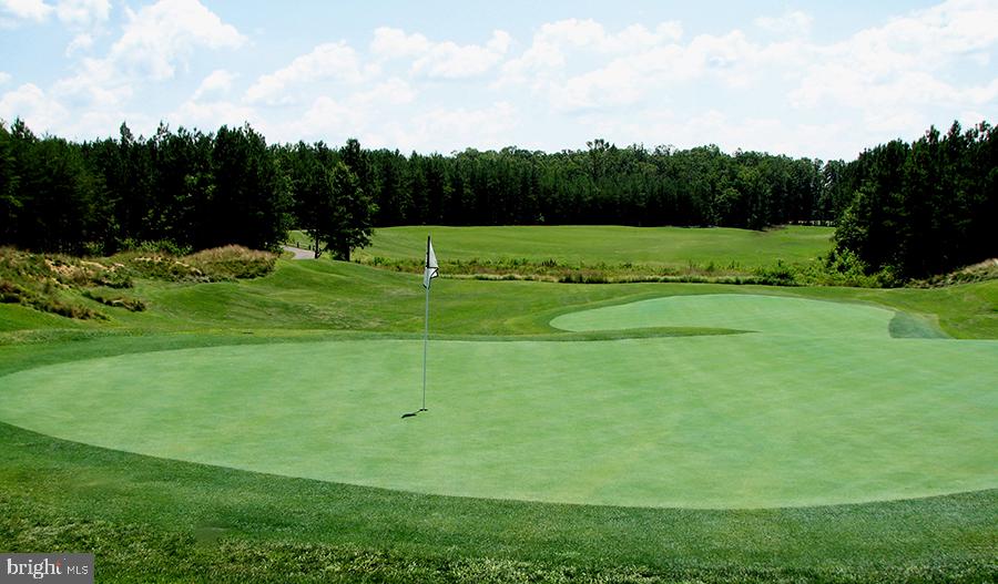 7110 Braxton Court Ruther Glen, VA 22546 - Photo 46 of 48