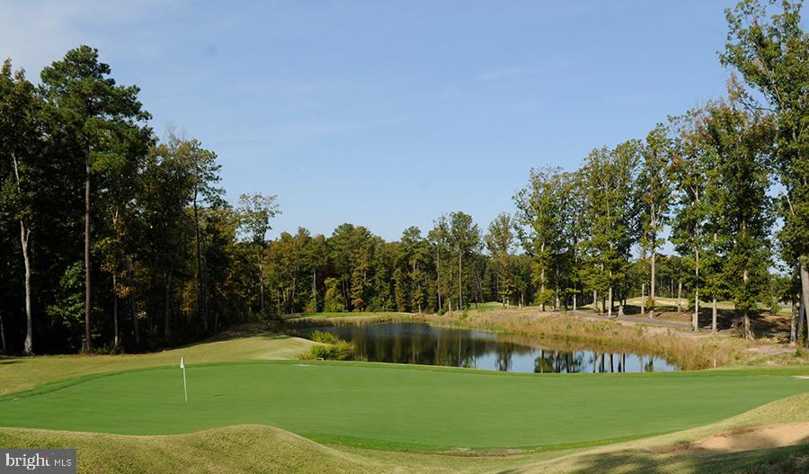 7110 Braxton Court Ruther Glen, VA 22546 - Photo 48 of 48