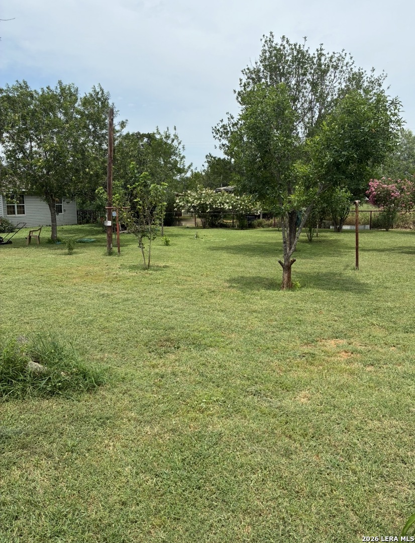 323 East White Street Dilley, TX 78017 - Photo 12 of 12