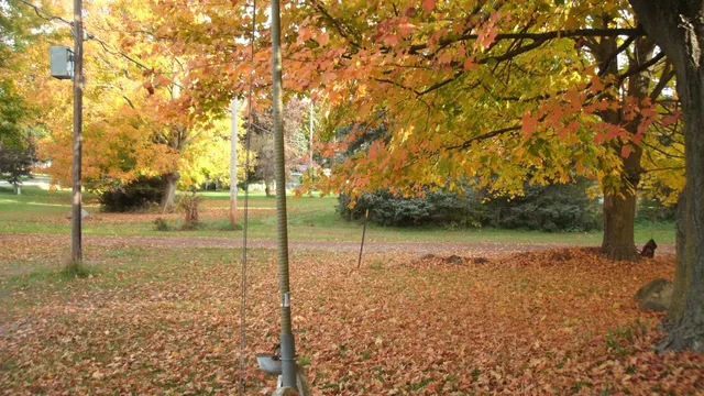 $92,900 | 1859 Jester Drive, Hastings, MI 49058