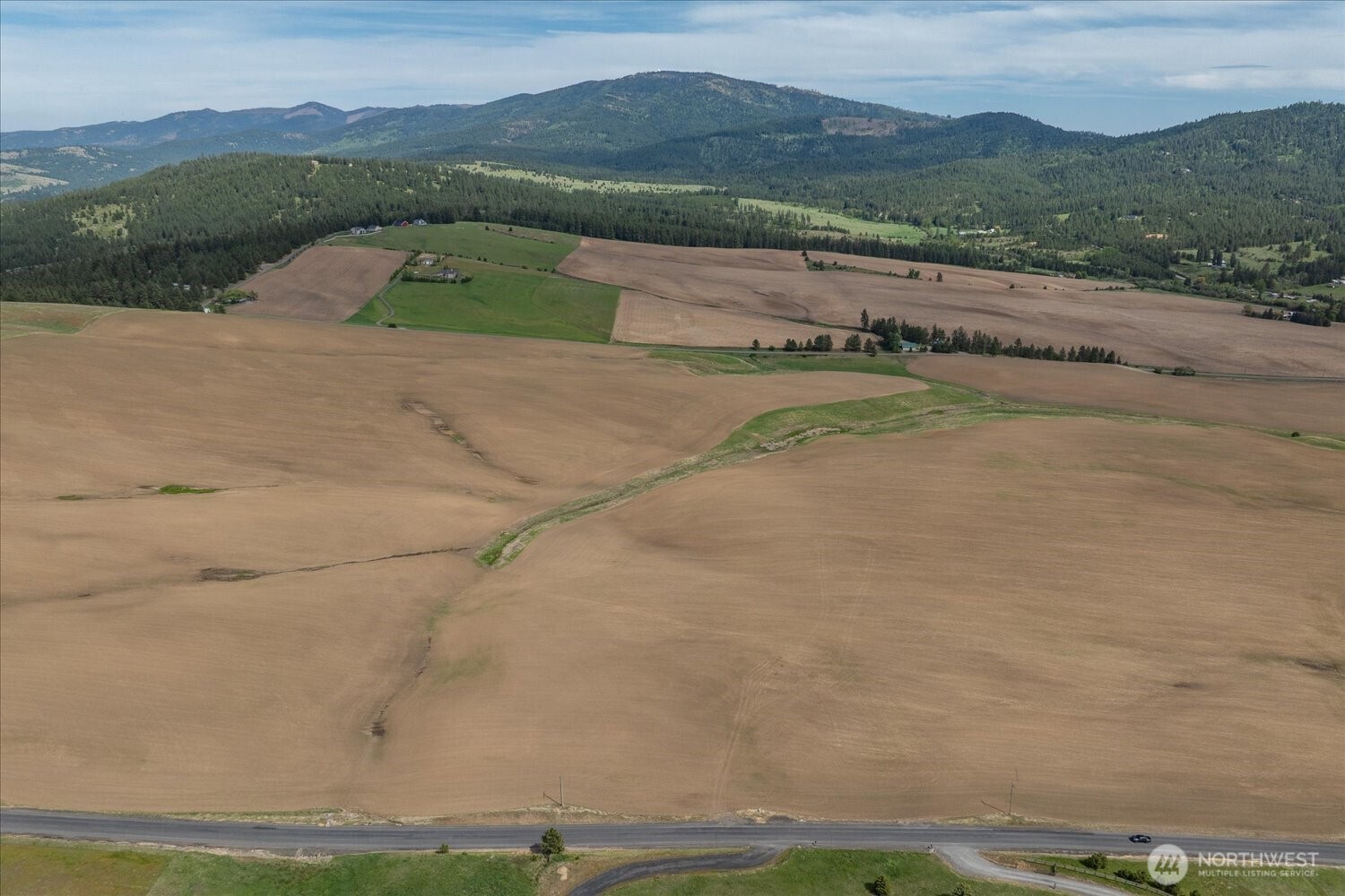 -xxx South Jackson Road, Unit LOT 17 Mica, WA 99023 - Photo 12 of 40 an aerial view of a house with a yard