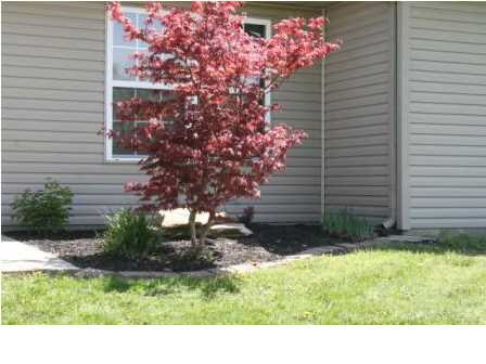 9736 Clippinger Road Evansville, IN 47725 - Photo 16 of 18 Gallery Image 16