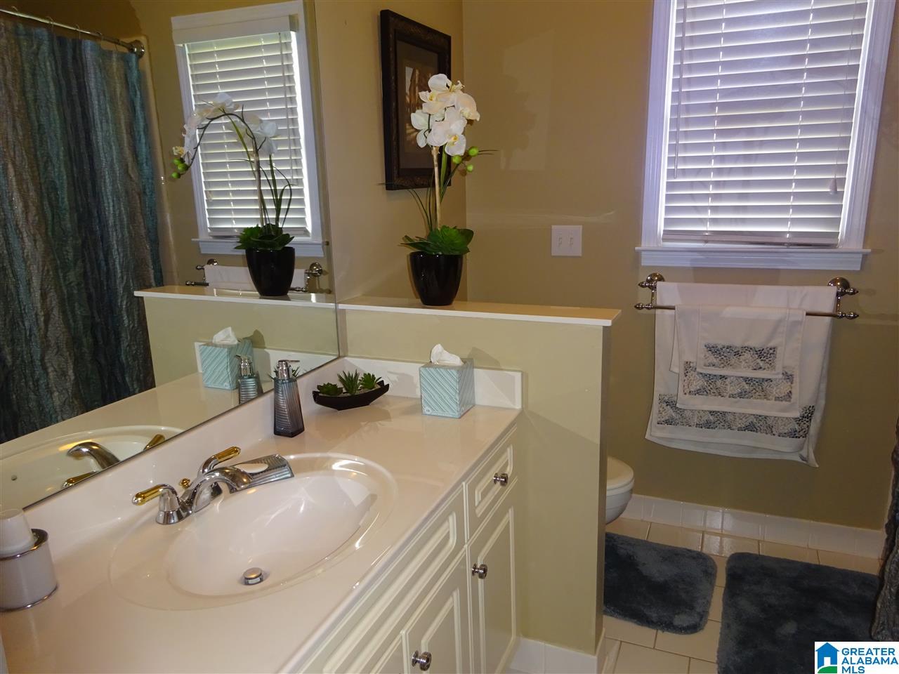 435 North Lake Road Birmingham, AL 35242 - Photo 18 of 27