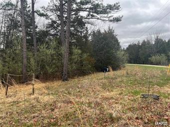 9515 Comanche Trail Williamsburg, MO 63388 - Photo 2 of 6