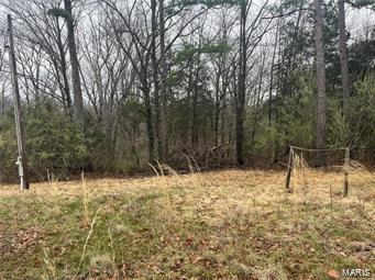 9515 Comanche Trail Williamsburg, MO 63388 - Photo 3 of 6