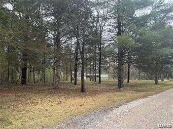 9515 Comanche Trail Williamsburg, MO 63388 - Photo 4 of 6