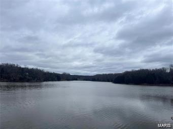 9515 Comanche Trail Williamsburg, MO 63388 - Photo 6 of 6