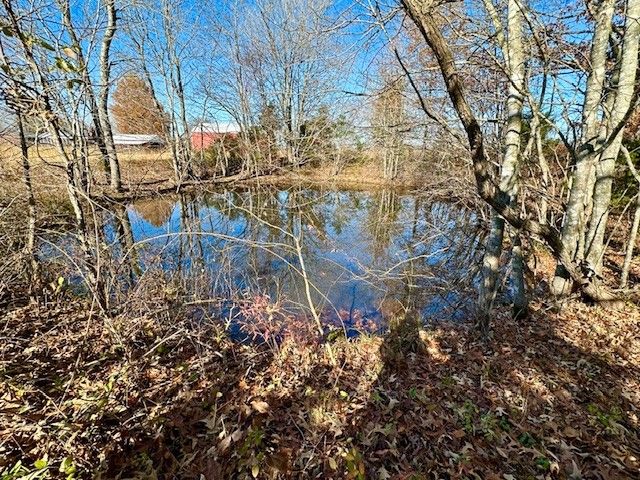 0 Allegre Road Elkton, KY 42220 - Photo 11 of 13 Gallery Image 11