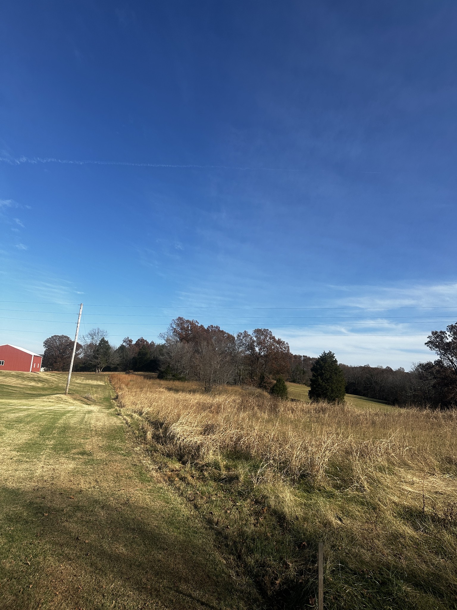 0 Allegre Road Elkton, KY 42220 - Photo 5 of 13 Gallery Image 5