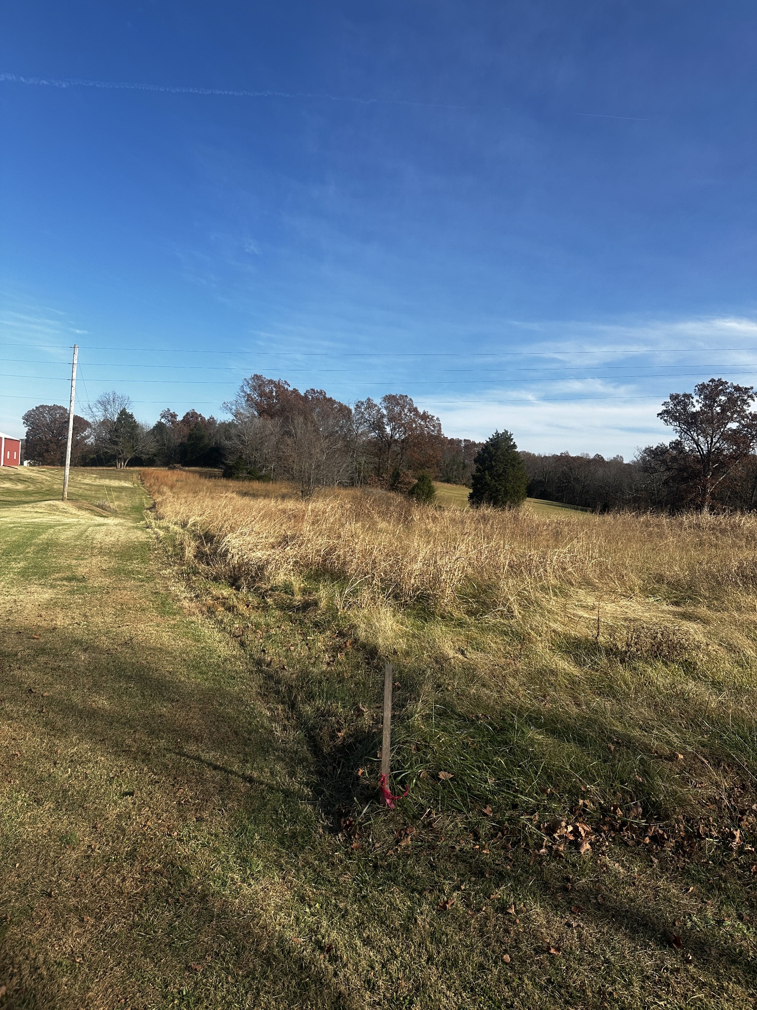 0 Allegre Road Elkton, KY 42220 - Photo 6 of 13 Gallery Image 6