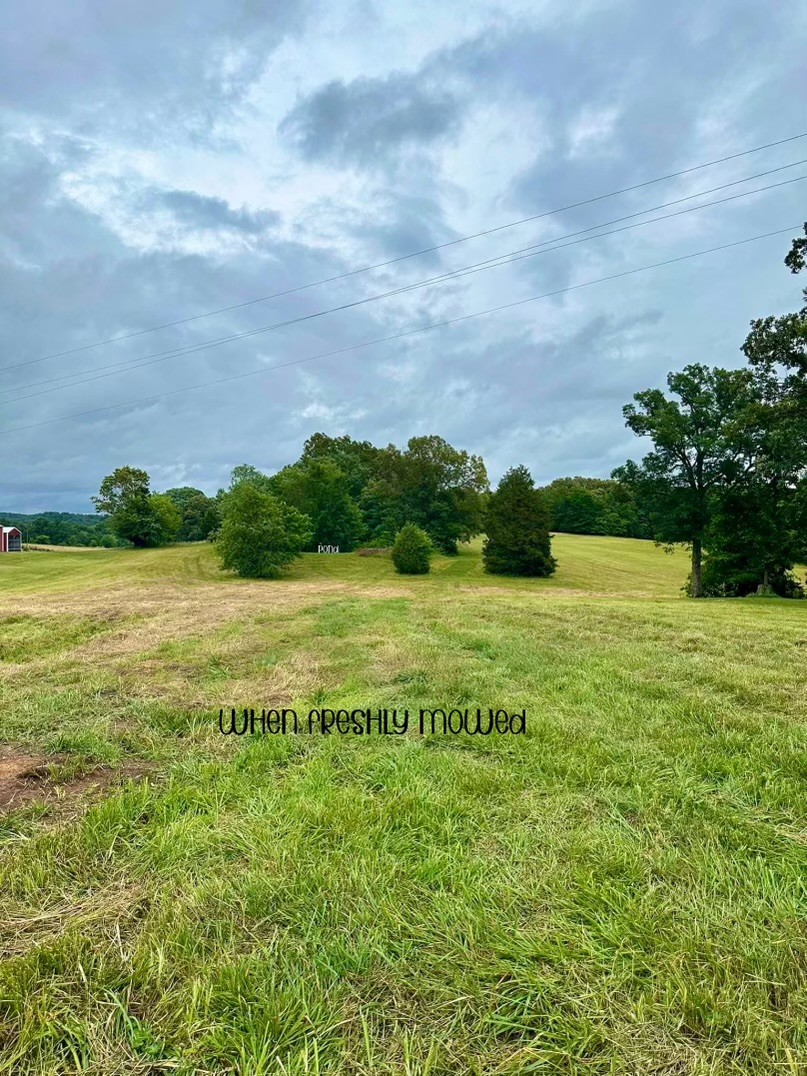 0 Allegre Road Elkton, KY 42220 - Photo 7 of 13 Gallery Image 7