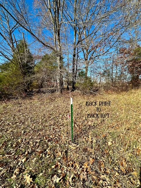 0 Allegre Road Elkton, KY 42220 - Photo 9 of 13 Gallery Image 9