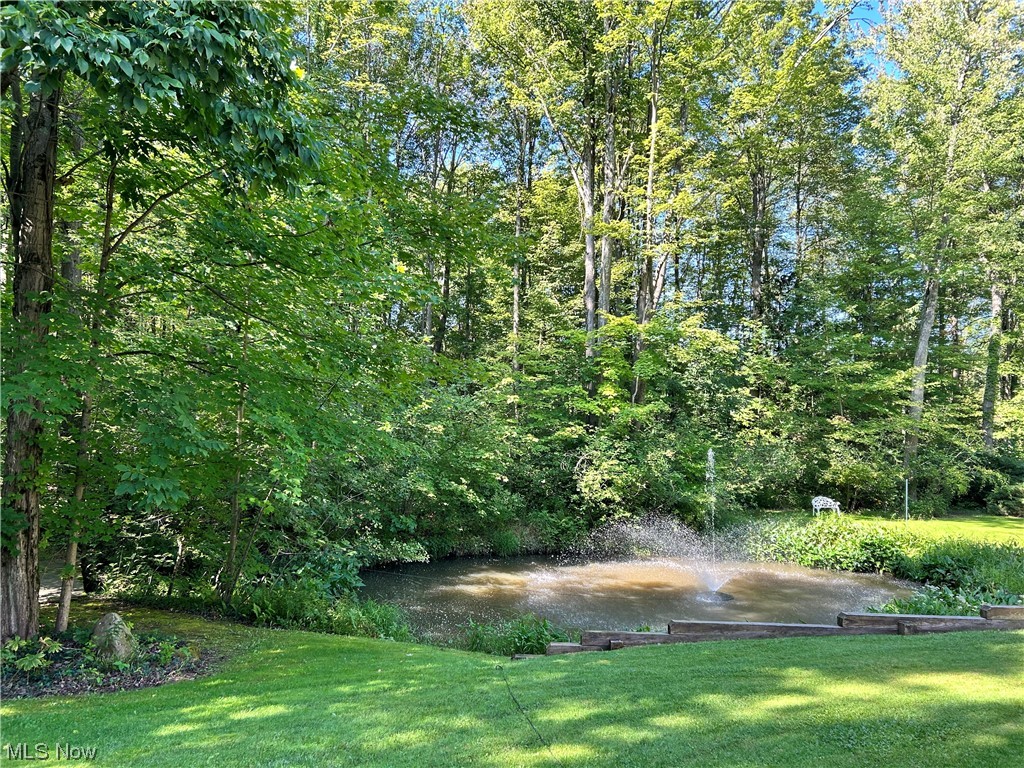 14600 Valentine Road Thompson, OH 44086 - Photo 19 of 31 View of yard with a water view