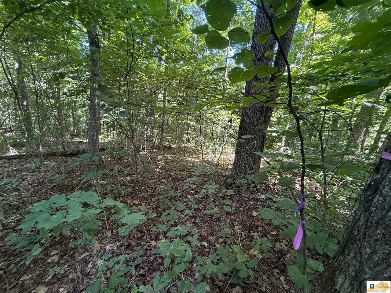 4565 Little Cake Road Columbia, KY 42728 - Photo 3 of 11 Gallery Image 3