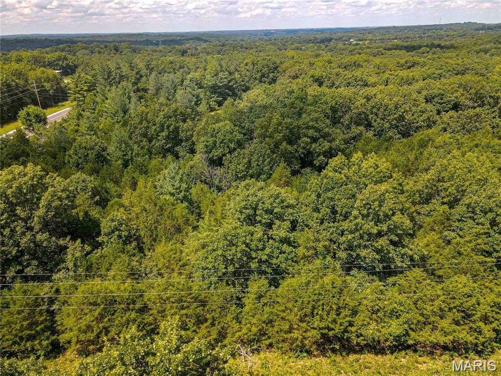 1855 Hendricks Road Lonedell, MO 63060 - Photo 3 of 5